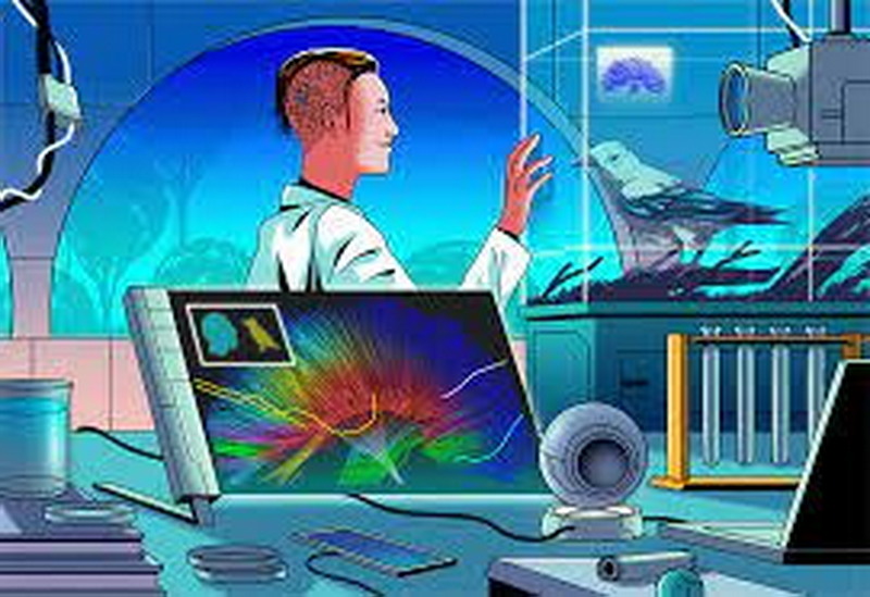 Базовый iPhone 18 получит начинку от Pro. Зачем тогда доплачивать 30 тысяч